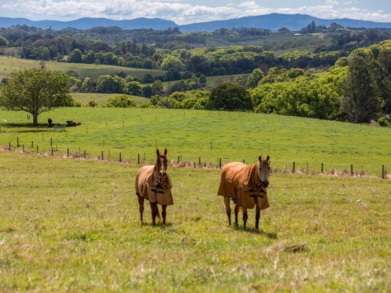 87 Laws Lane, Rous Mill NSW 2477