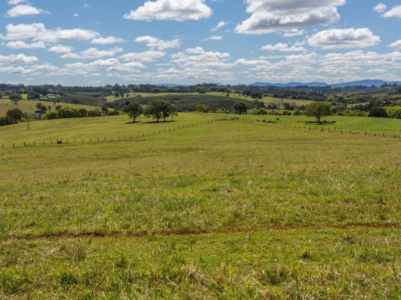 87 Laws Lane, Rous Mill NSW 2477