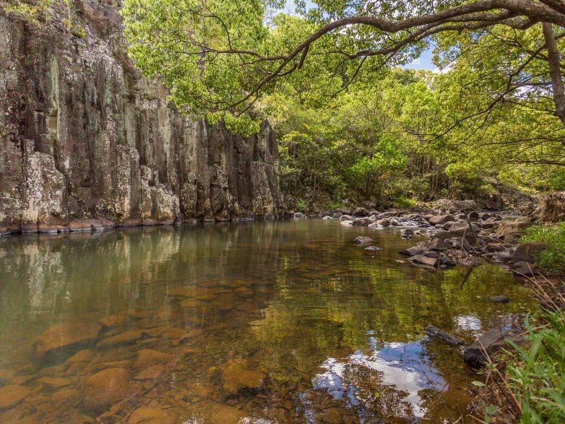 87 Laws Lane, Rous Mill NSW 2477