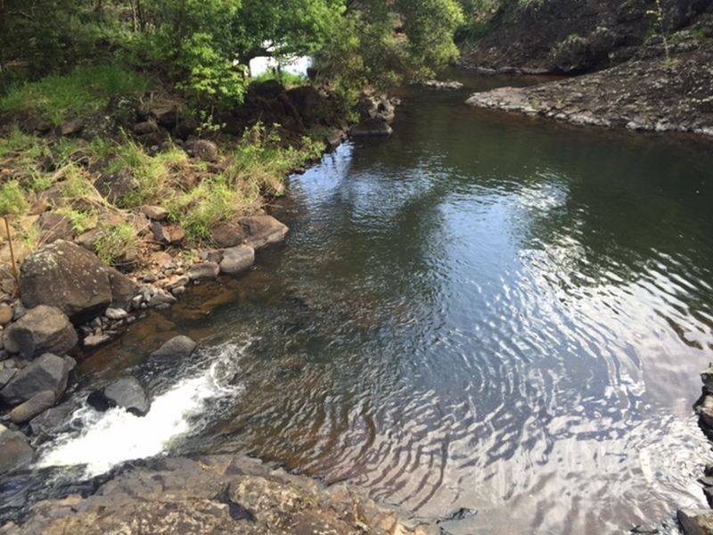 87 Laws Lane, Rous Mill NSW 2477