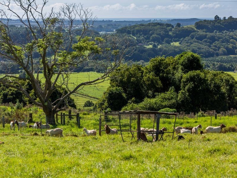 Lot 6/131 Tuckombil Lane, Tuckombil NSW 2477
