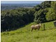 Lot 6/131 Tuckombil Lane, Tuckombil NSW 2477