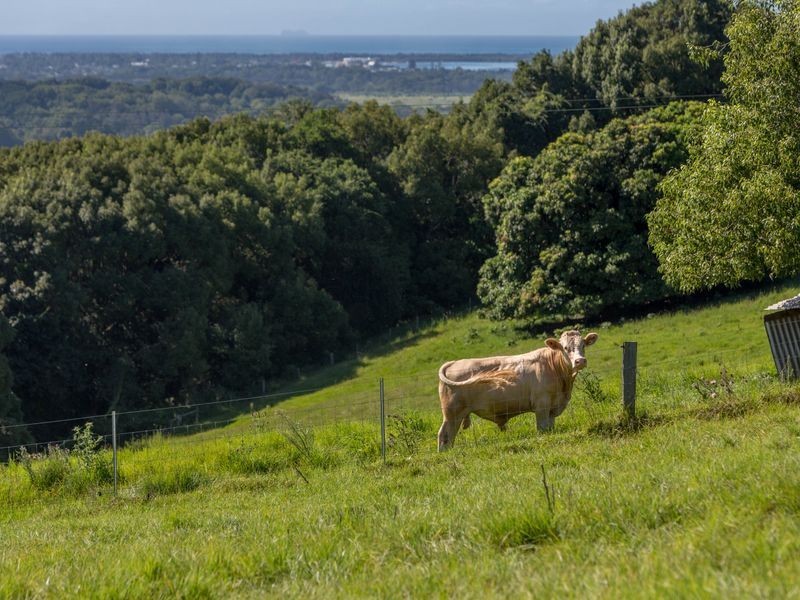 Lot 6/131 Tuckombil Lane, Tuckombil NSW 2477