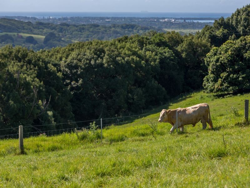 Lot 6/131 Tuckombil Lane, Tuckombil NSW 2477
