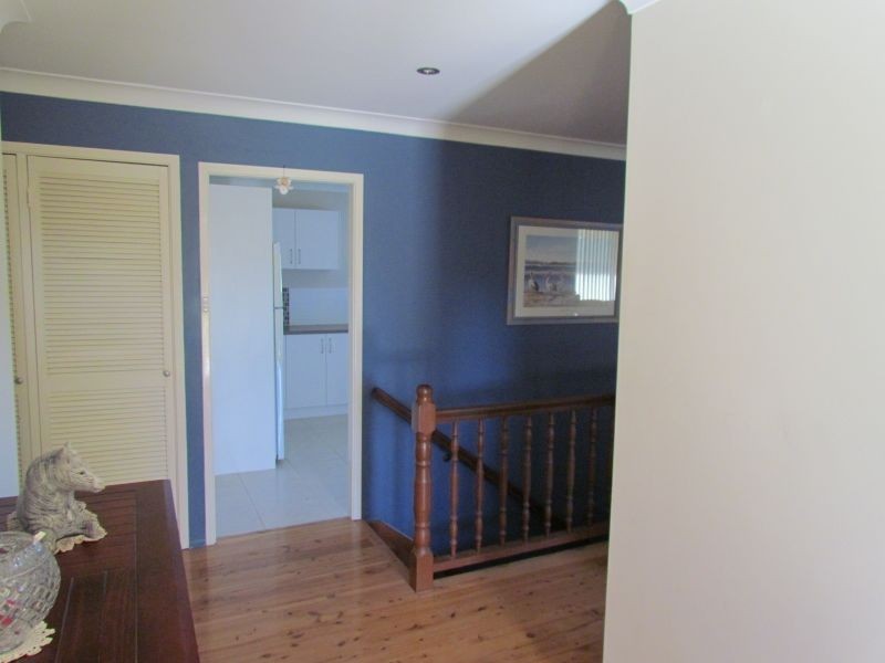 801 Wardell Road, Meerschaum Vale NSW 2477