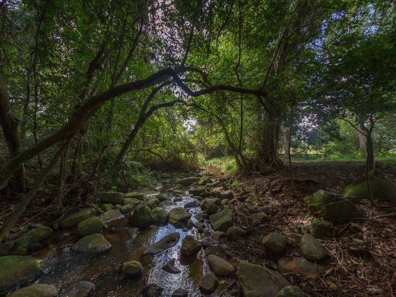 22 Godfrey Place, Alstonville NSW 2477