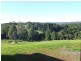 738 Cowlong Road, Mcleans Ridges NSW 2480
