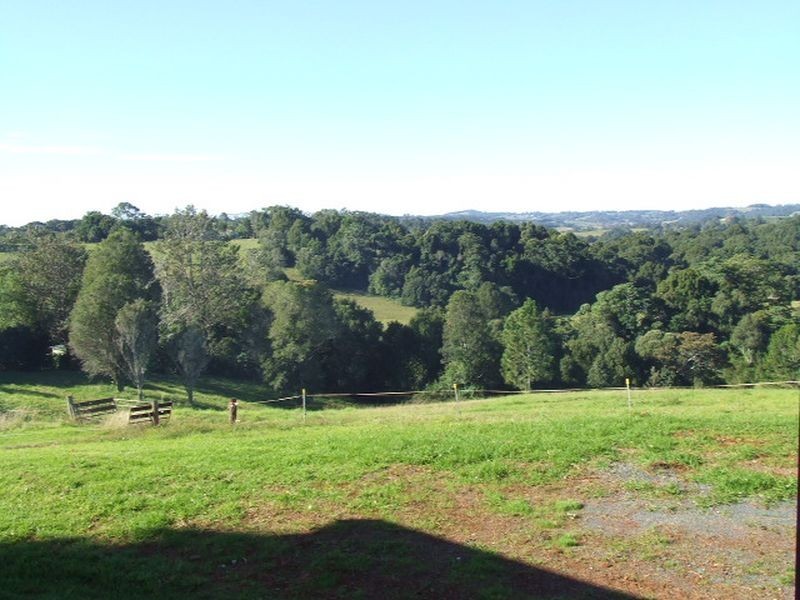 738 Cowlong Road, Mcleans Ridges NSW 2480