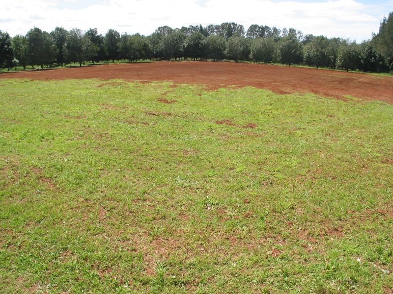 5/80 Dalwood Road, Dalwood NSW 2477