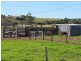 2 Malone Lane, Lismore NSW 2480