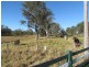2 Malone Lane, Lismore NSW 2480