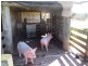 2 Malone Lane, Lismore NSW 2480