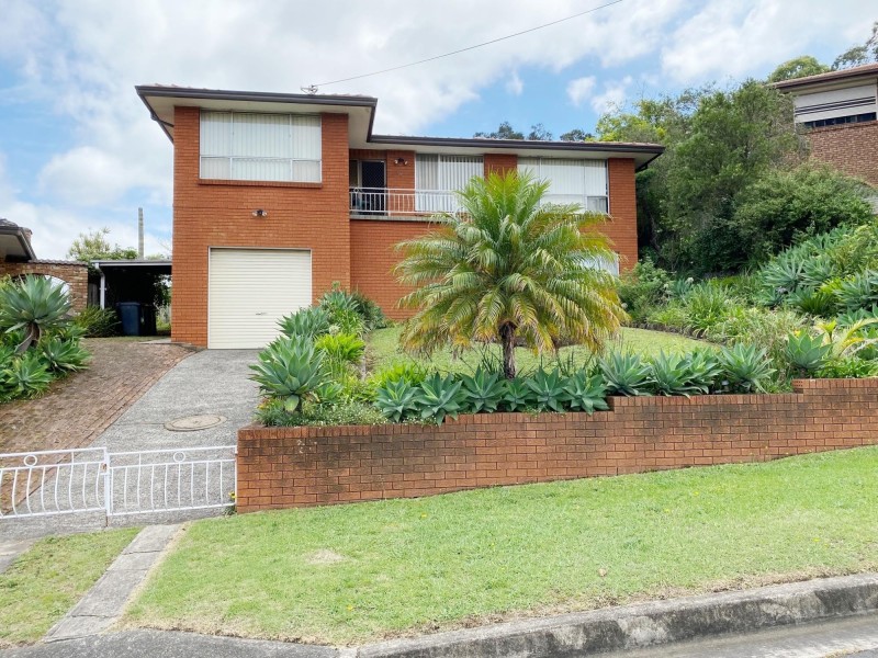 14 Jane Ave, Warrawong NSW 2502