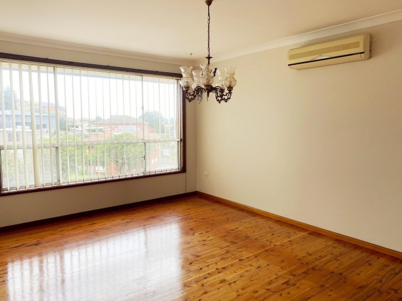 14 Jane Ave, Warrawong NSW 2502