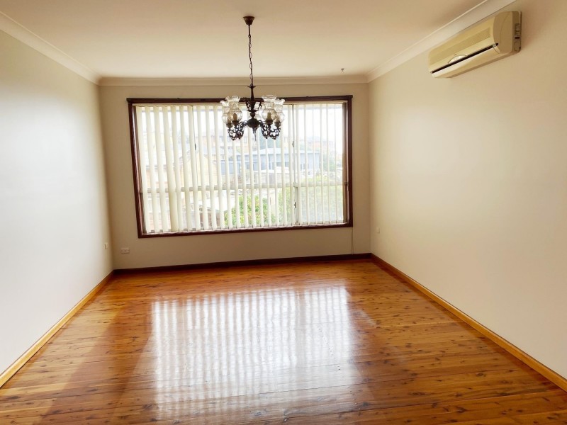 14 Jane Ave, Warrawong NSW 2502