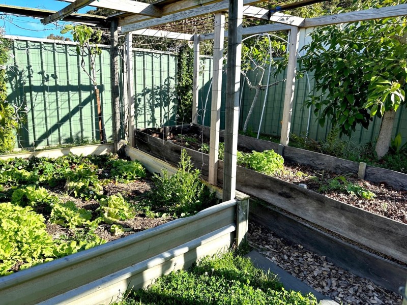 138 Lake Entrance Rd, Oak Flats NSW 2529