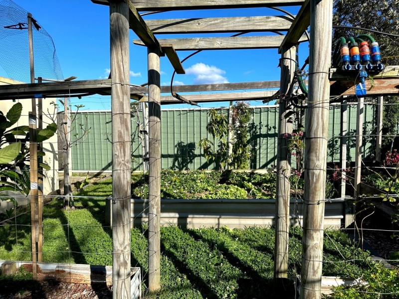 138 Lake Entrance Rd, Oak Flats NSW 2529