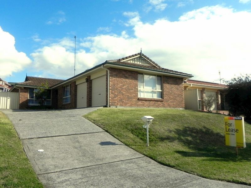 56 Berringer Way, Flinders NSW 2529
