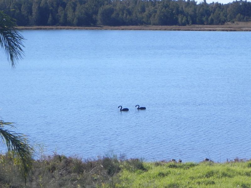 Albion Park Rail NSW 2527