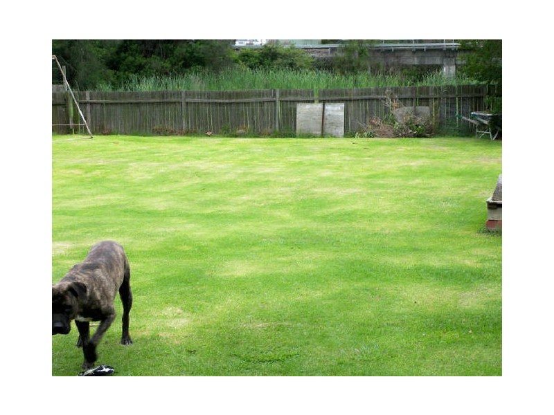 Albion Park Rail NSW 2527