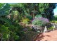 Blackbutt NSW 2529