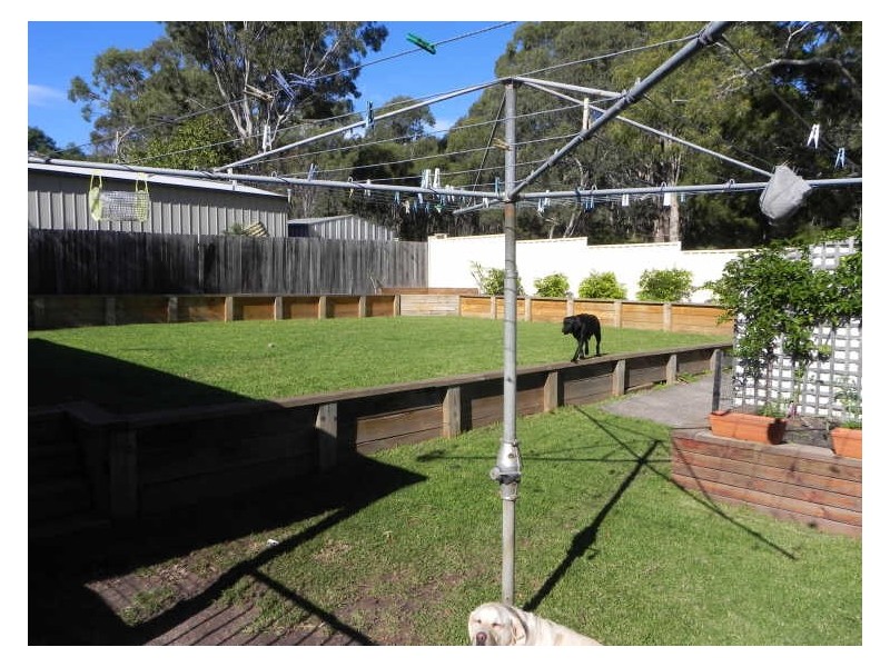 Barrack Heights NSW 2528