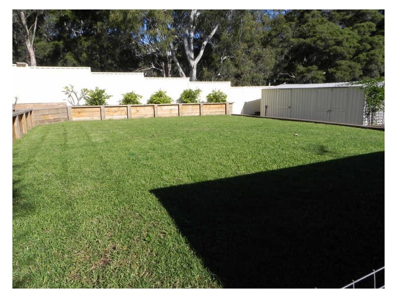 Barrack Heights NSW 2528