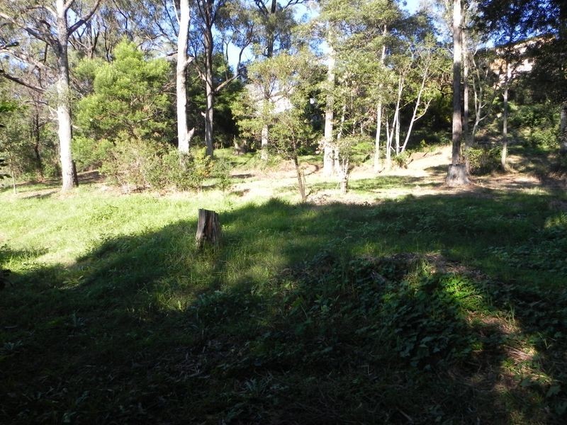 34 Abercrombie Crescent, Albion Park NSW 2527