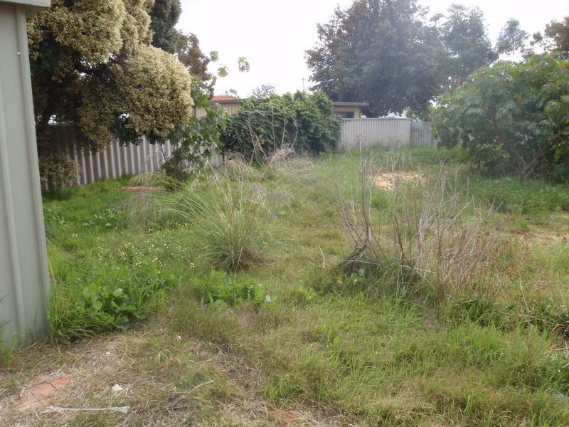 94 Forrest Road, Hamilton Hill WA 6163