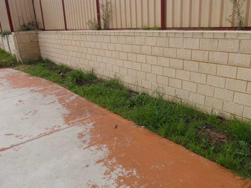 94 Forrest Road, Hamilton Hill WA 6163