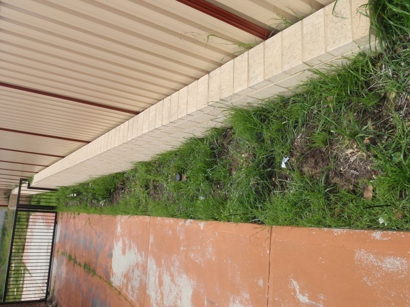 94 Forrest Road, Hamilton Hill WA 6163