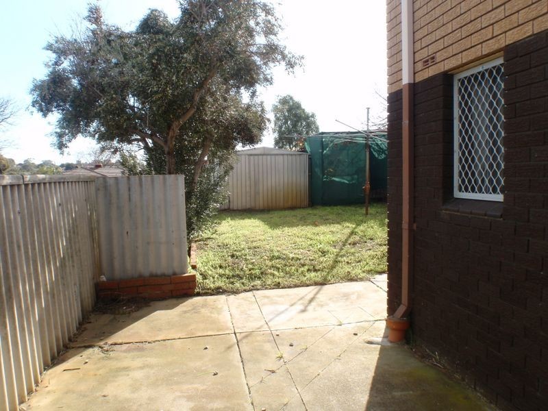 31 Wheeler Road, Hamilton Hill WA 6163
