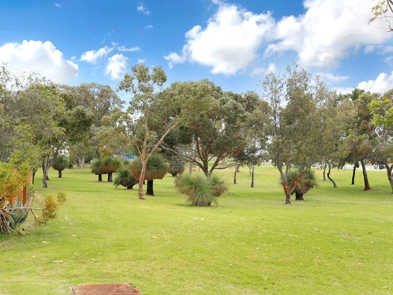 19 Honeysett Court, Hamilton Hill WA 6163