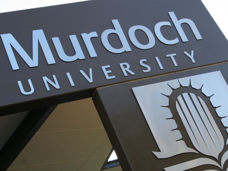 3/39 Freeth Road, Spearwood WA 6163