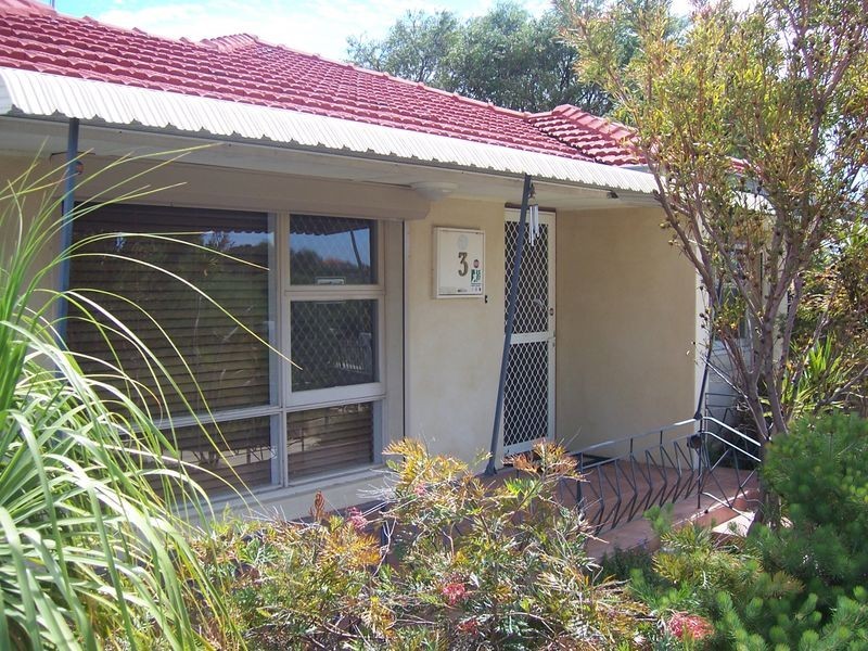 3 Morton Road, Hamilton Hill WA 6163