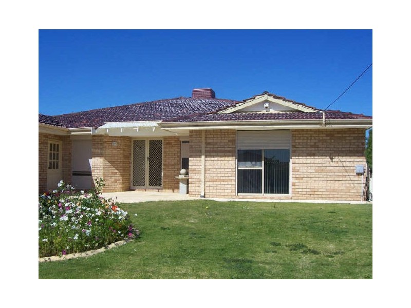 18 Torenia Way, Yangebup WA 6164
