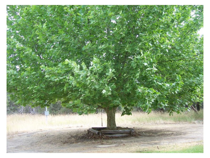 191 Frankland Avenue, Hammond Park WA 6164