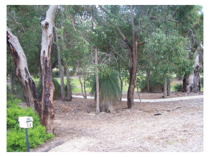24 Malvolio Road, Coolbellup WA 6163