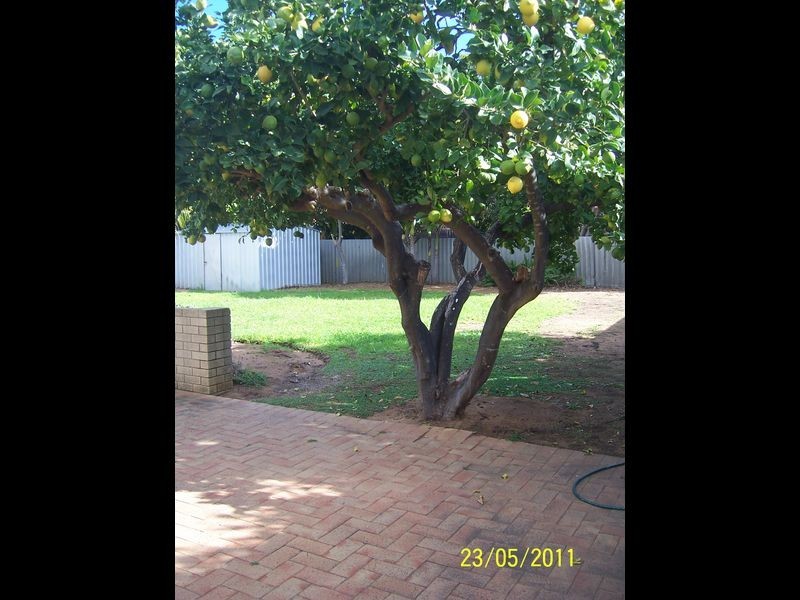 11 Sussex Street, Spearwood WA 6163