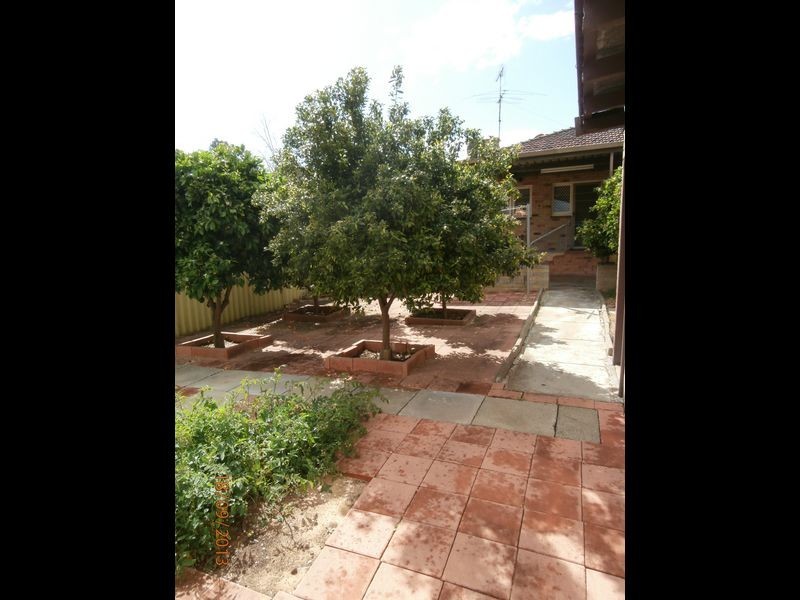 27 Ethelwyn Street, Hilton WA 6163