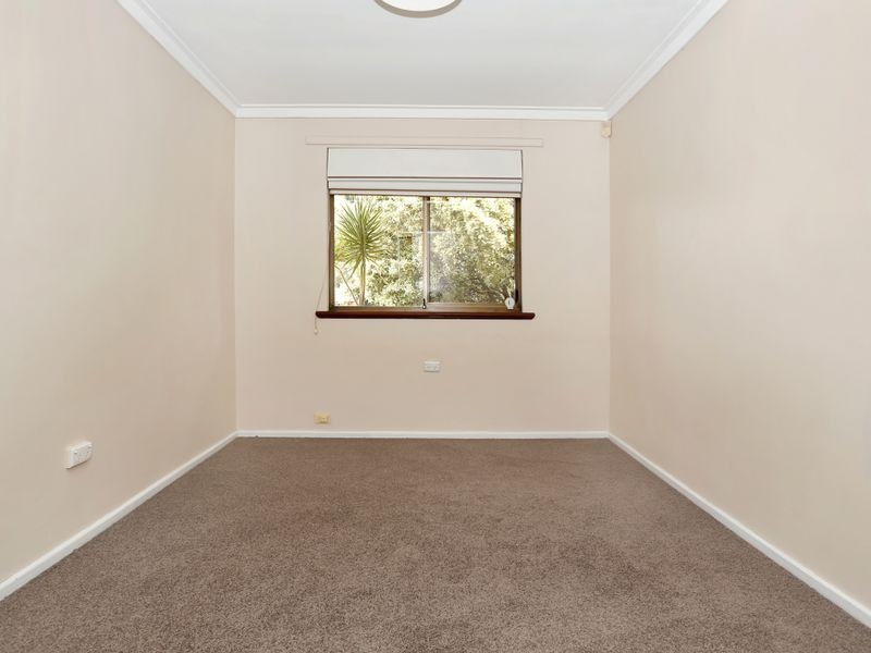 19 Honeysett Court, Hamilton Hill WA 6163