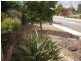 139 Elderberry Drive, South Lake WA 6164