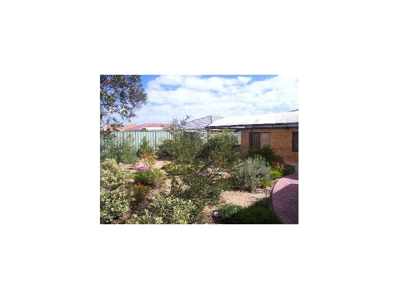 35 Wauhop Circle, Beeliar WA 6164