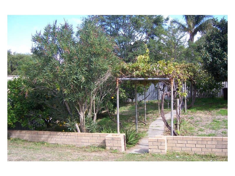 17 O’Connell Street, Hamilton Hill WA 6163