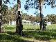 Lot 300 Espinos Road, Abba River WA 6280