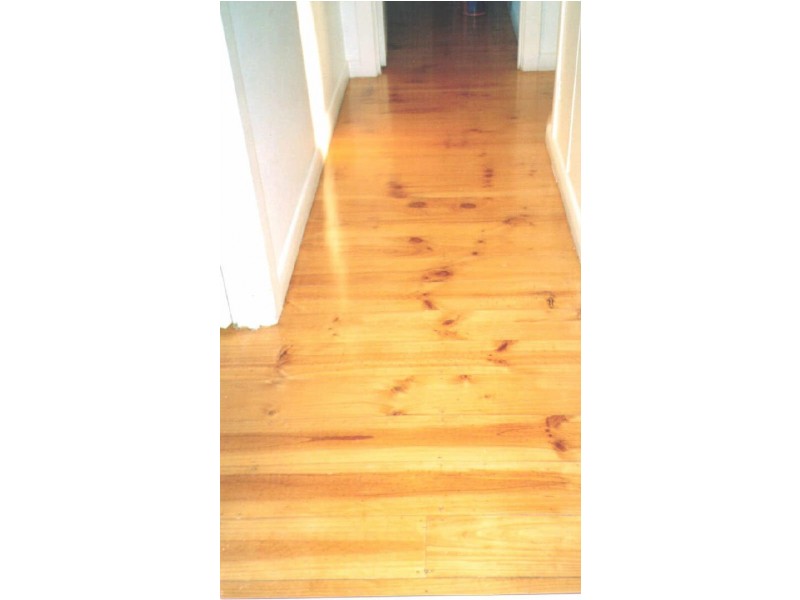 1 Iluka Street, Glenelg North SA 5045