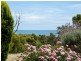 7 Weerab Drive, Hallett Cove SA 5158