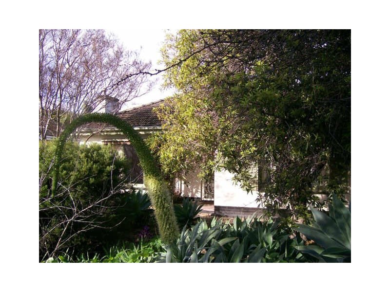 7 Balmoral Avenue, North Brighton SA 5048