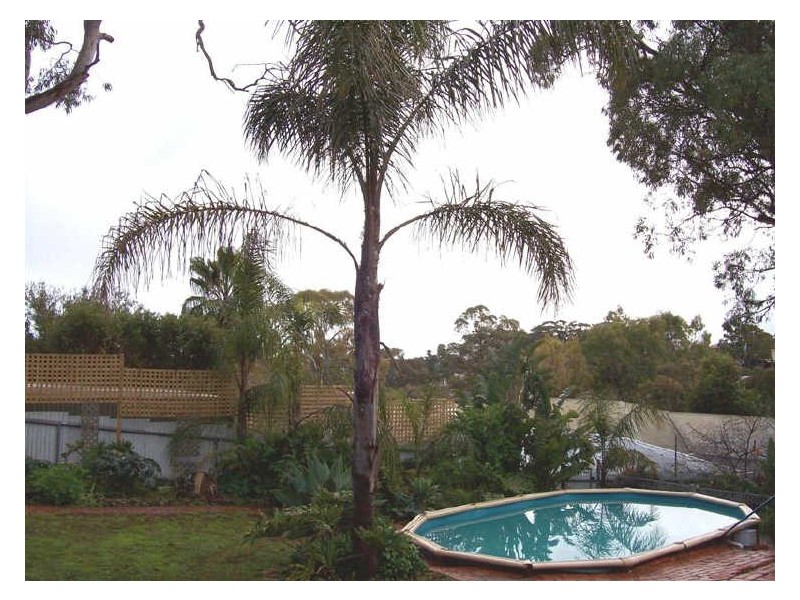 6 Rudge Close, Happy Valley SA 5159