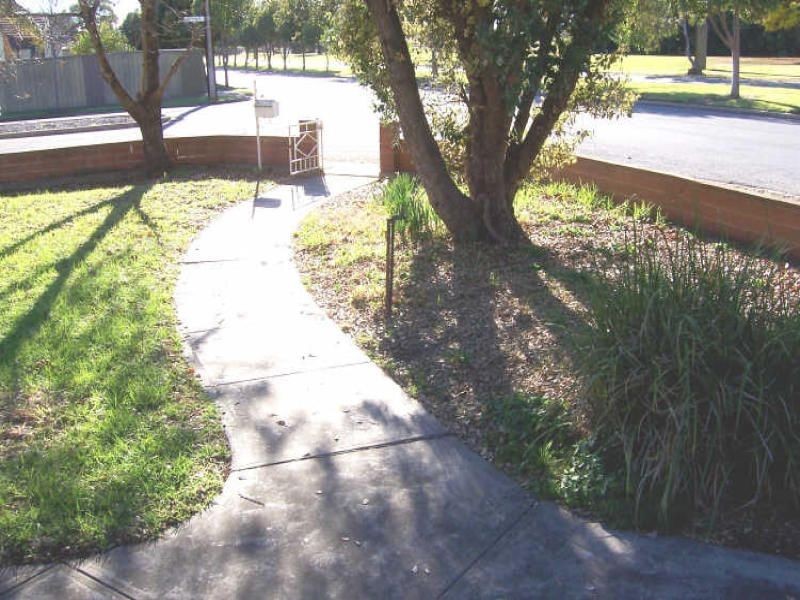 62 Birdwood Terrace, Plympton SA 5038